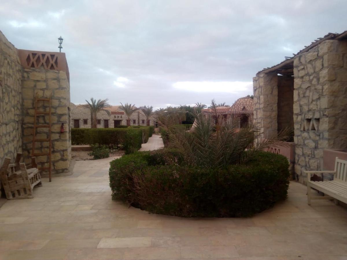 Aliyah Eco-Lodge الباويطي المظهر الخارجي الصورة