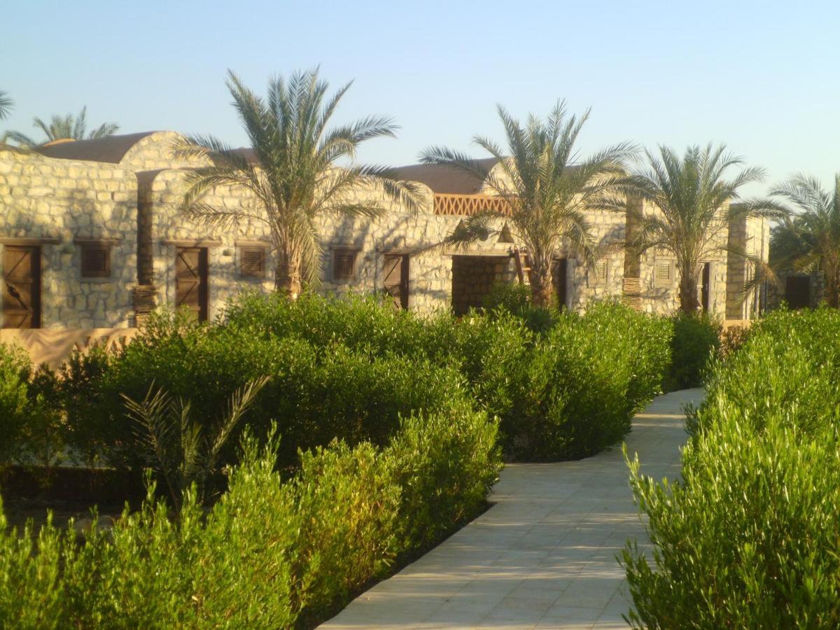 Aliyah Eco-Lodge الباويطي المظهر الخارجي الصورة