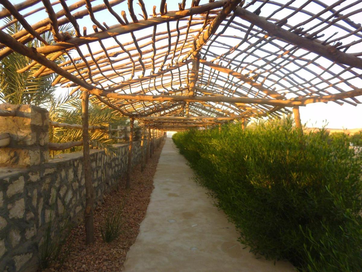 Aliyah Eco-Lodge الباويطي المظهر الخارجي الصورة